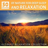 Spa Garden (Soothing Sounds) - Beautiful Deep Sleep Music Universe