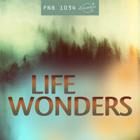 Intriguing Possibilities - Plan 8