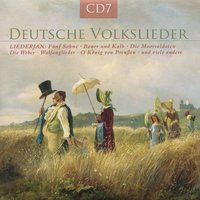 Totentanz - Liederjan