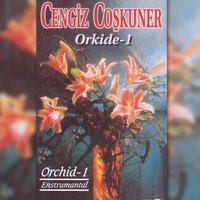 Ceylan - Cengiz Coşkuner