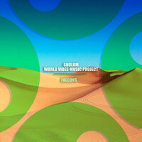 Falcons - Shulum & World Vibes Music Project