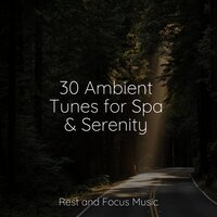 Pilates Moments - Rising Higher Meditation & Relaxamento & Baby Sleep Music