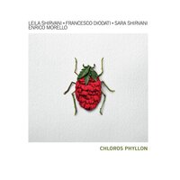 Rami / Riturnella - Francesco Diodati & Enrico Morello & Leila Shirvani & Sara Shirvani