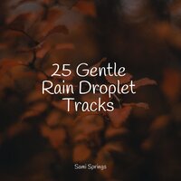River, Medium, Stream, Creek - Loopable Rain & Academia de Relaxamento e Meditação & Forest Soundscapes