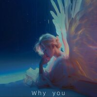Why you - 菲菲公主
