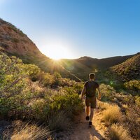 Movimientos Etéreos De Cuerdas - Música Ambiental para Cafeterías & Sonidos Del Mar ASMR & Naturaleza Ensemble