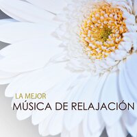 Hang Drum - Musica de Relajacion Espace