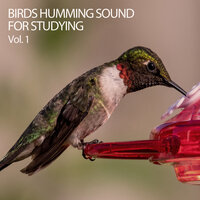 Habitat - The Nature Soundscapes & Concentration Focus & Epic Soundscapes