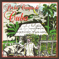 Bajo Un Palmar - Tito Gomez & Orquesta Riverside