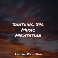 Mountain Calling - Massage & Academia de Música para Massagem Relaxamento & Best Relaxing Spa Music