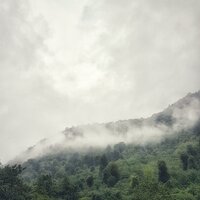 Rocío De Primavera - Sonidos De Truenos y Lluvia & Musica para Dormir 101 & Música De Relajación Para Dormir Profundamente
