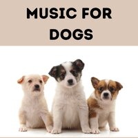 Its a Dog's World - Music for Dogs & Music for Dogs Peace & Relaxing Puppy Music & Calm Pets Music Academy
