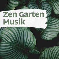Meditationsreise - Entspannungsmusik Spa