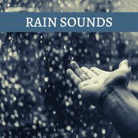 Asleep at the Exit - Rainy Lullaby