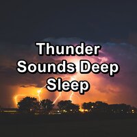 Heavy Rain for Brain Relaxation and Mindfulness in the Evening - Nature Sounds & Nature Sounds Nature Music & Nature Sounds for Sleep and Relaxation