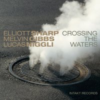 Forellen - Elliott Sharp & Lucas Niggli & Melvin Gibbs