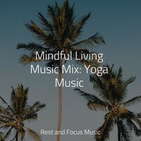 Soothing Touch - Study Music & Sounds & Schlaflieder Für Kinder & Deep Sleep Relaxation