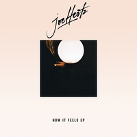 Playing for You - Joe Hertz & Bassette