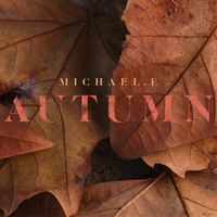 Bossa Nova Baby - Michael E