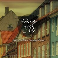 Focus in the City of Copenhagen Sounds, Pt. 4 - Bryan Maxwell