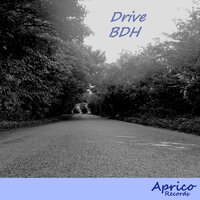 The Rhythm - Bdh