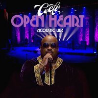 Smells Like Fire - CeeLo Green