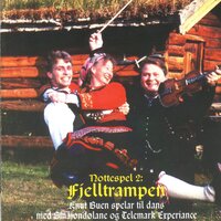 Tusen-Tore Og Fykeruden - Knut Buen