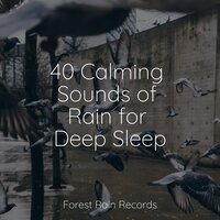 LoFi Rain in the Shed - Best Kids Songs & Asian Zen Spa Music Meditation & Echoes of Nature