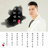 情歌唱到入心处 - 暴林