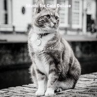 Inspiring (Music) - Music for Cats Deluxe