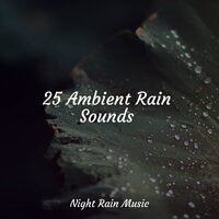 High Ocean Waves - Massagem Coleção de Músicas & Deep Sleep Relaxation