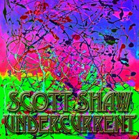 Expression Explanation - Scott Shaw