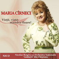 Păcat, neicuță, păcat - Maria Cirneci & Nicolae Botgros & Lăutarii de la Chișinău