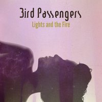 Get on the Floor - Bird Passengers