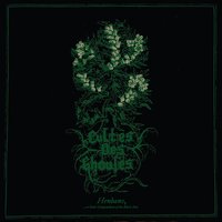 The Passion of a Sorceress - Cultes des Ghoules