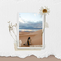 Background for Daily Unwinding - Morning Calm Playlist