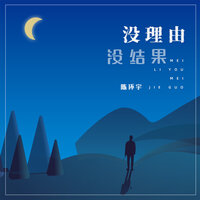 没理由没结果 - 陈环宇