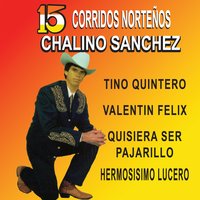 Lucero Negro - Chalino Sanchez