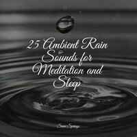 Water, Creek, Stream, Birds - Yoga Soul & Relaxed Minds & Reiki Music