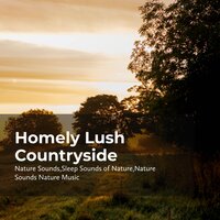 Bushy Wilderness - Nature Sounds & Nature Sounds Nature Music & Sleep Sounds Of Nature