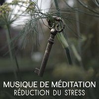 Pratique du yoga du matin - Méditation Sanctuaire de Guérison