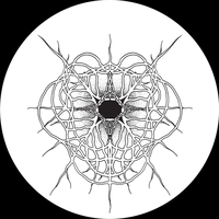 Moriarty - Translate & Pulso