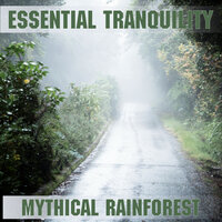 Mythical Rainforest - Essential Band