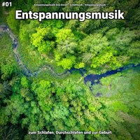 Entspannungsmusik pt. 6 - Entspannungsmusik Sina Donen & Schlafmusik & Entspannungsmusik