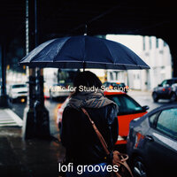 Mellow Moment for Gaming - Lofi Grooves