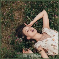 Springs Sounds - Ambient & Musica Para estudiar Academy & Best Relaxation Music