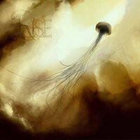 Daily Grind - Rise