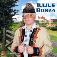De vreun an mă tot gândesc - Iulius Borza