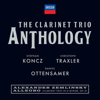 Zemlinsky: Clarinet Trio in D Minor, Op. 3 - III. Allegro - Daniel Ottensamer & Stephan Koncz & Christoph Traxler