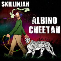 No Crying in Dancehall - Skillinjah
